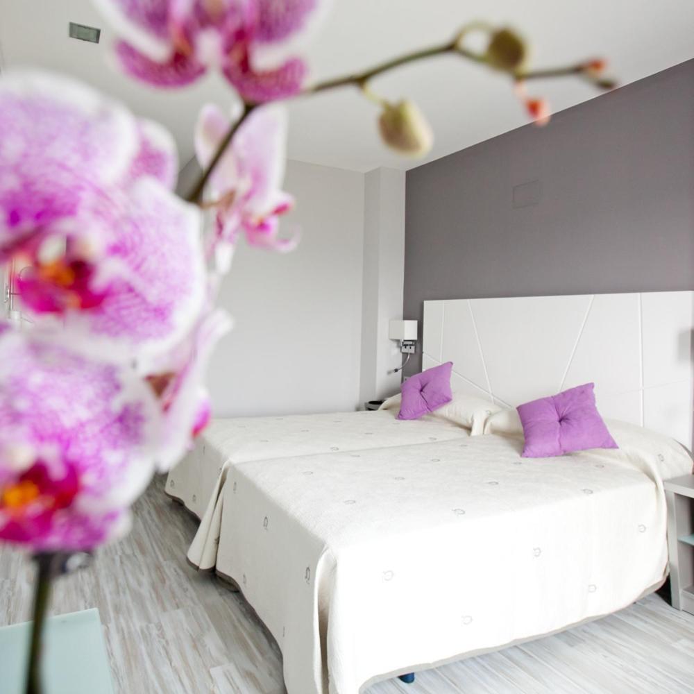 Alix Boutique Hotel Arteixo Eksteriør billede